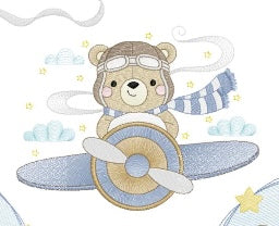 Oso en avioneta